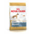 Kép 1/2 - Royal Canin BOXER ADULT 3 kg kutyatáp