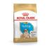 Kép 1/2 - royal-canin-bulldog-puppy