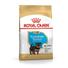 Kép 1/2 - royal-canin-yorkshire-terrier-puppy
