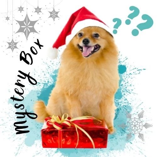 Mystery box / Dogjoybox edition - Luxus csomag
