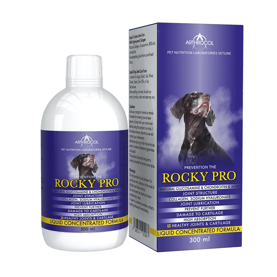 Arthrocol Rocky Pro 300ml