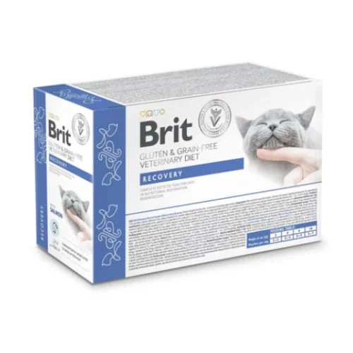 Brit Veterinary Diets Cat GF fillets in Gravy Recovery 12x85g