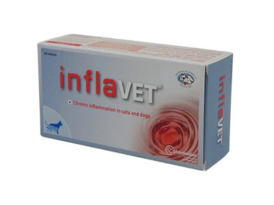 Inflavet Tabletta 60 x