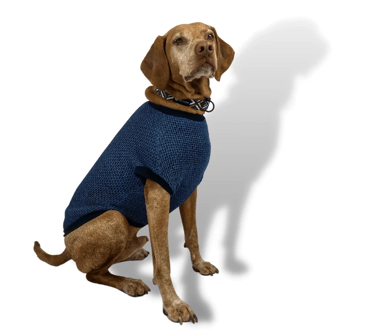 NR Dogs Kutyaruha Denim S