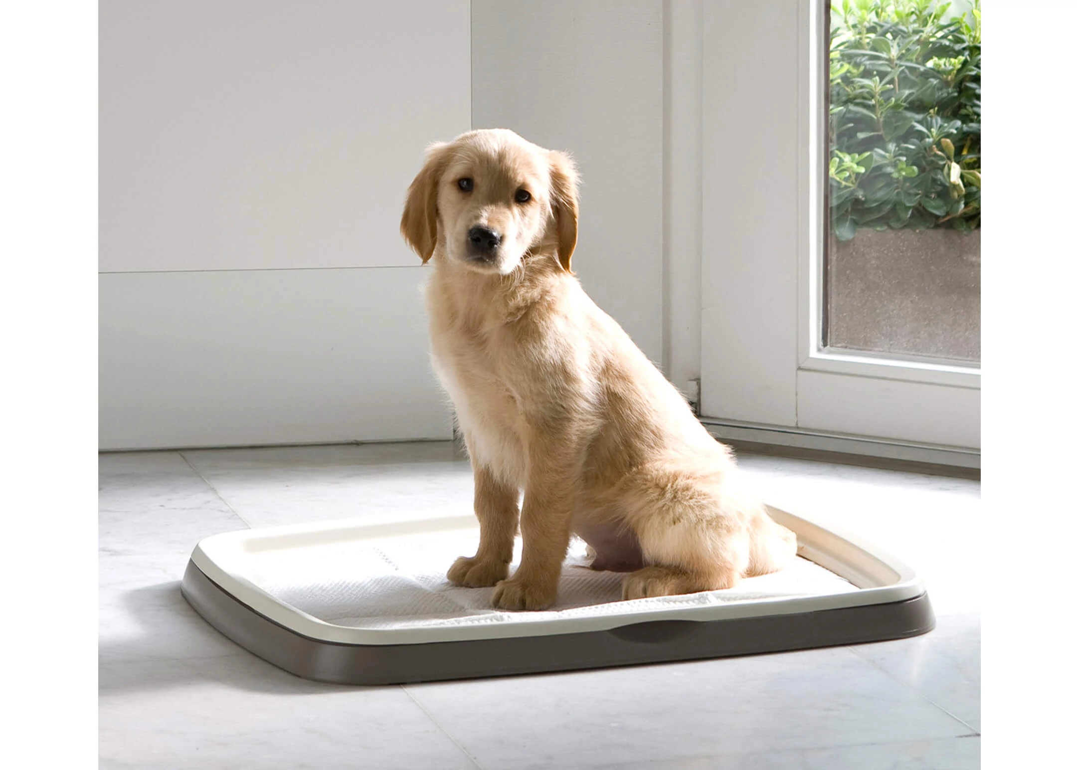 Savic Puppy Trainer Starter Kit XL 65x90cm
