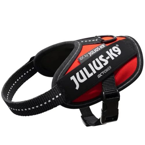 Julius-K9 IDC Powerhám, felirattal, Mini Piros