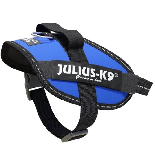 Julius-K9 IDC Powerhám, felirattal, Mini-mini Kék