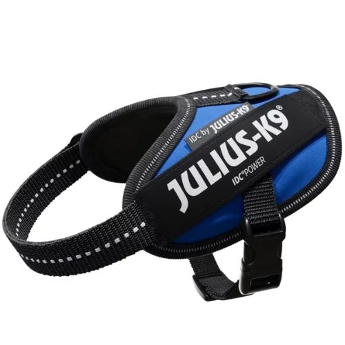 Julius-K9 IDC Powerhám, felirattal, Mini Kék