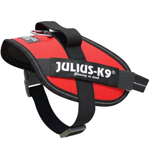 Julius-K9 IDC Powerhám, felirattal, Mini-Mini Piros