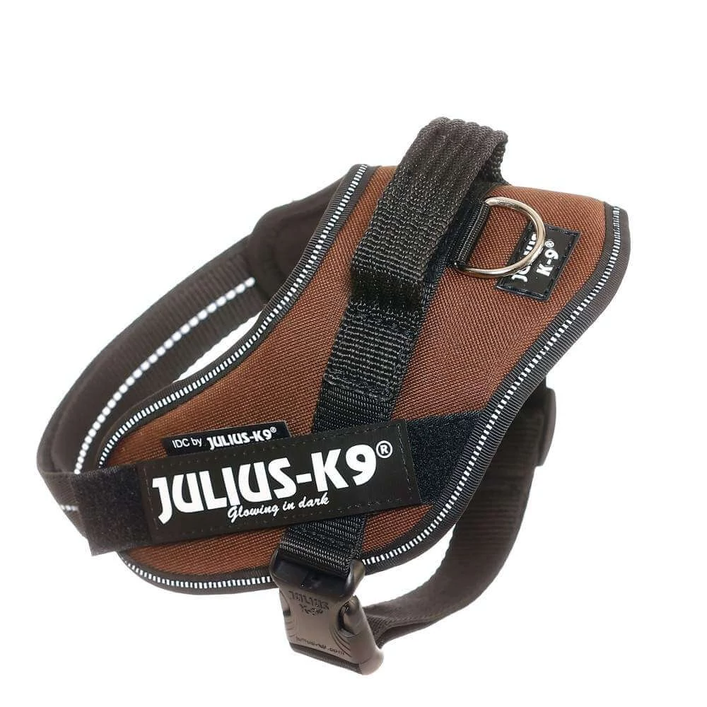 Julius-K9 IDC Powerhám, felirattal, Mini Csoki Barna