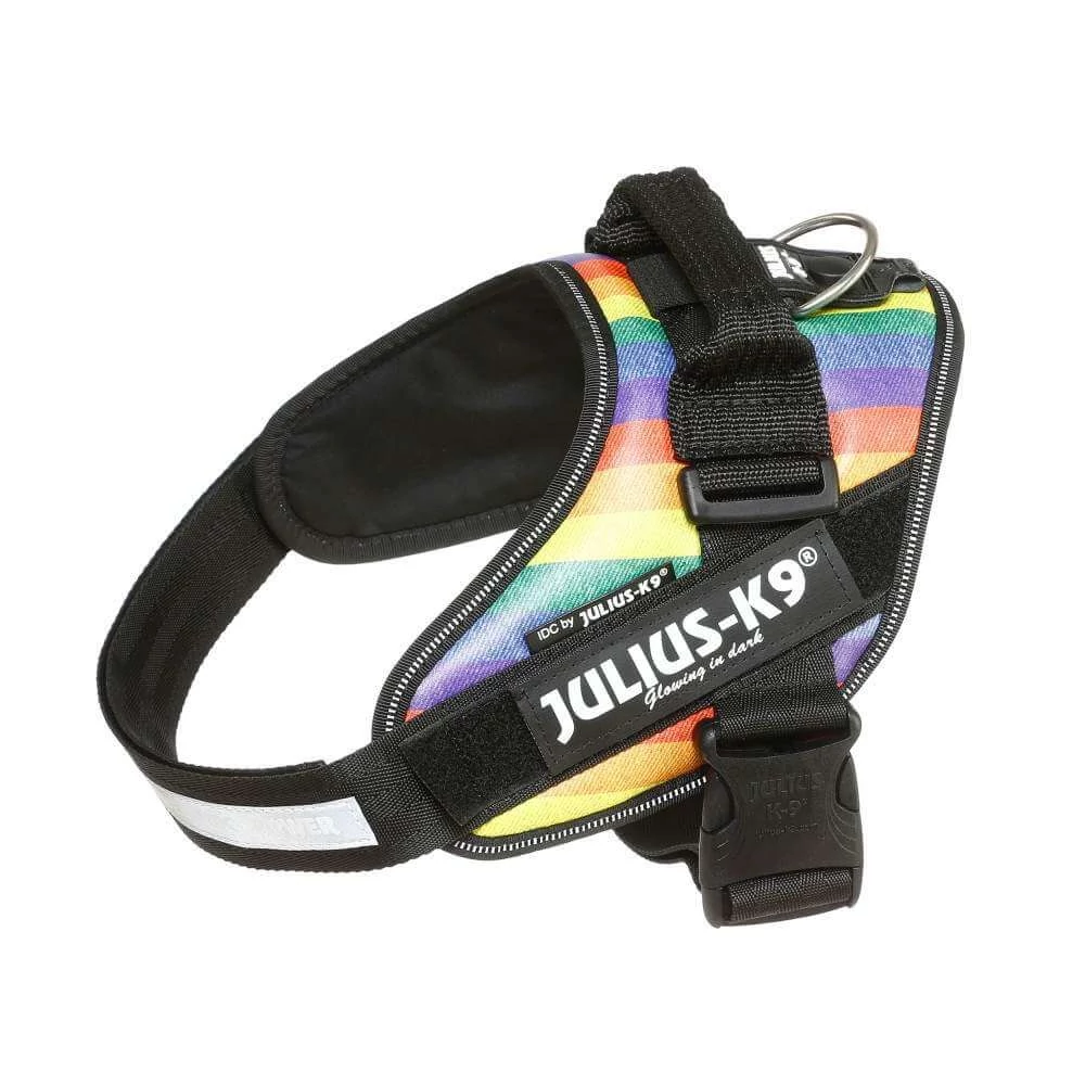 Julius-K9 IDC Powerhám, felirattal, méret 0 Szivárvány