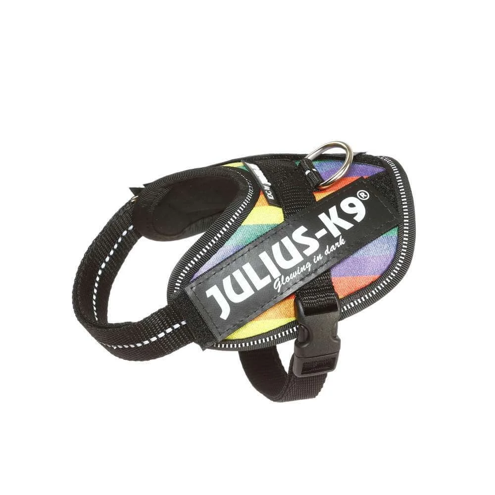Julius-K9 IDC Powerhám, felirattal, Baby 2 Szivárvány