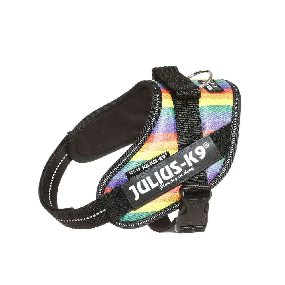 julius k9 rainbow