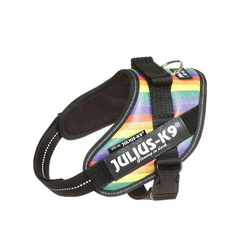 Julius-K9 IDC Powerhám, felirattal, Mini Szivárvány