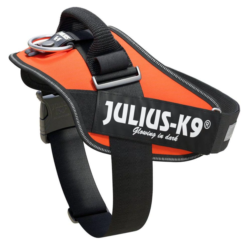 Julius-K9 IDC Powerhám, felirattal, méret 0 UV Narancs