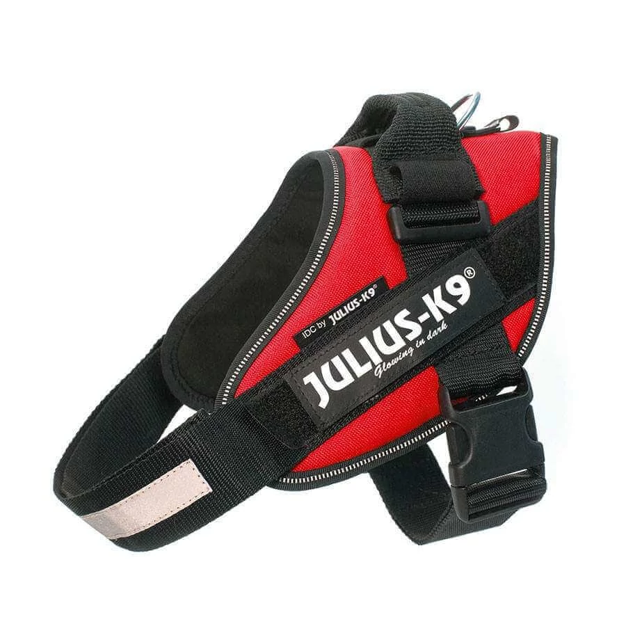 Julius-K9 IDC Powerhám, felirattal, méret 2 Piros