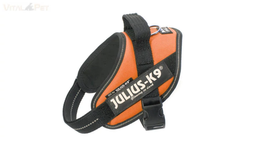 Julius-K9 IDC Powerhám, felirattal, Mini UV Narancs