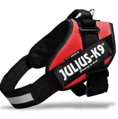 Julius-K9 IDC Powerhám, felirattal, Baby 1 Piros
