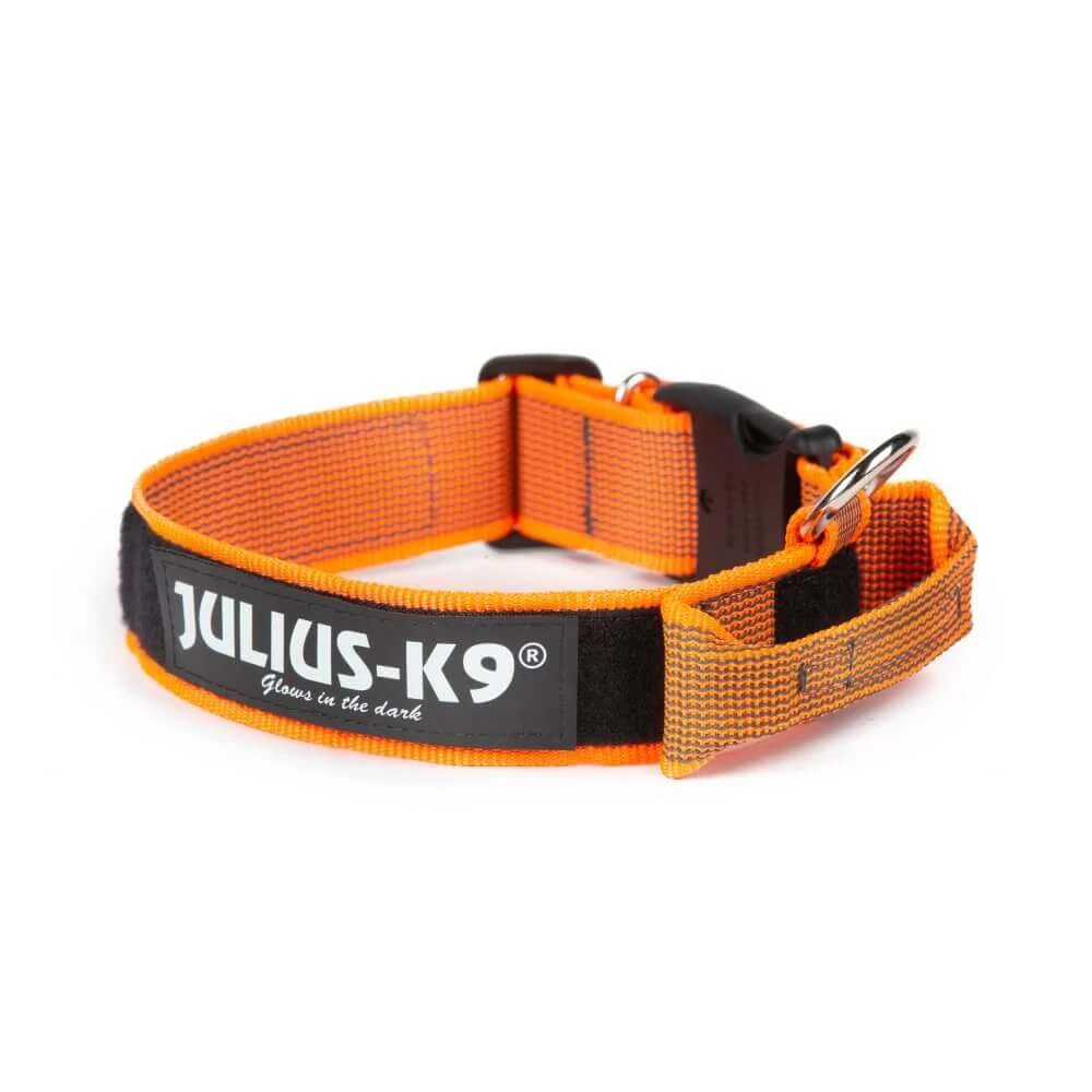 Julius k9 Biztonsági zárral ellátott nyakörv fogantyúval és cserélhető felirattal 40mm/38-53 Narancs-Szürke