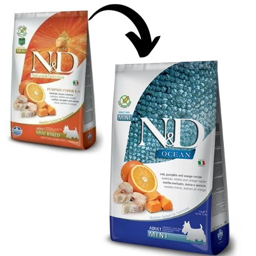 N&D Dog Grain Free tőkehal&narancs sütőtökkel adult mini 800g kutyatáp