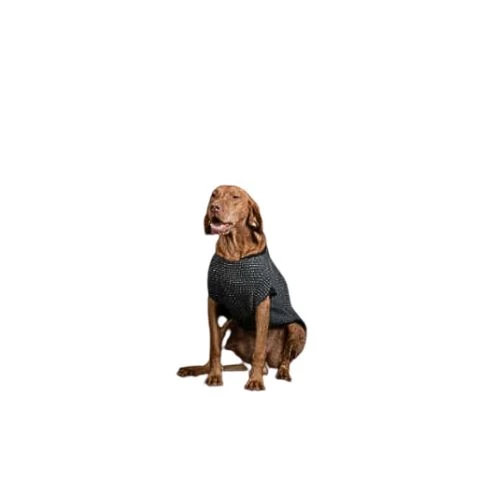 NR Dogs Kutyaruha Szürke XS