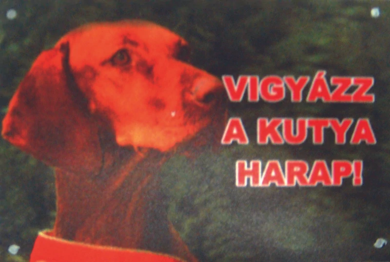 Kutya Harap Tábla  A/5 Műanyag
