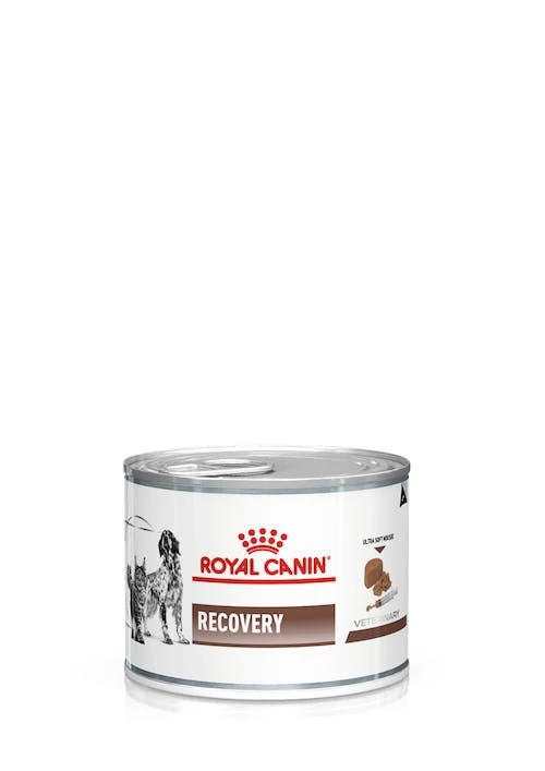 Royal Canin Recovery 12x195g