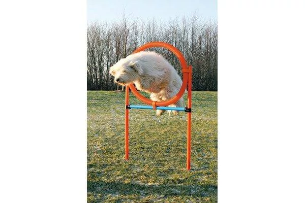 Trixie Játék Dog Activity Agility Magas Ugróléc+Karika 115x3cm 65cm Kék/Narancs